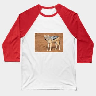 Namibia. Namib-Naukluft National Park. Sossusvlei. Jackal. Baseball T-Shirt